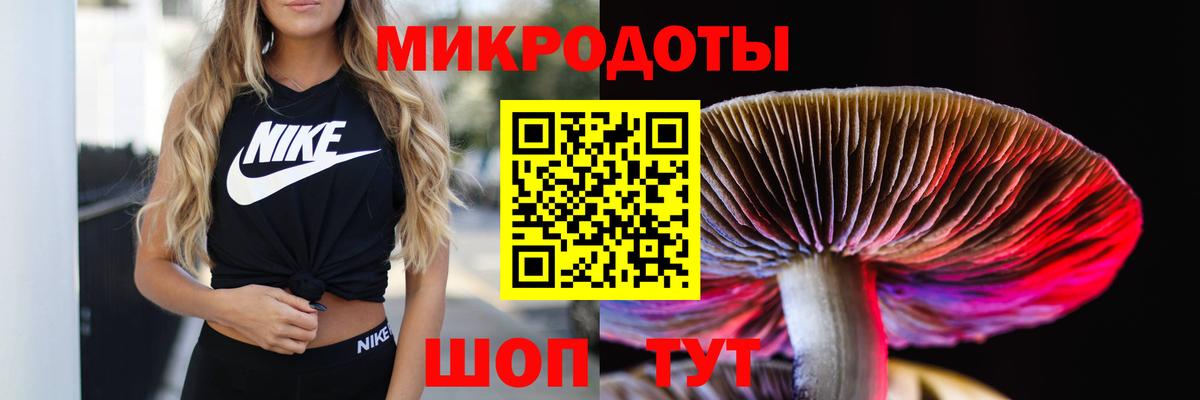 Кизляр  Галлюциногенные грибы мицелий  Галлюциногенные грибы GOLDEN TEACHER  Вход с VPN 